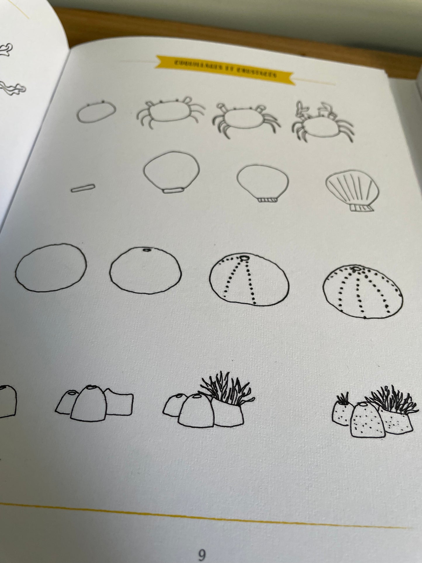 Livre "Les cartes à dessiner de Solenn Larnicol"